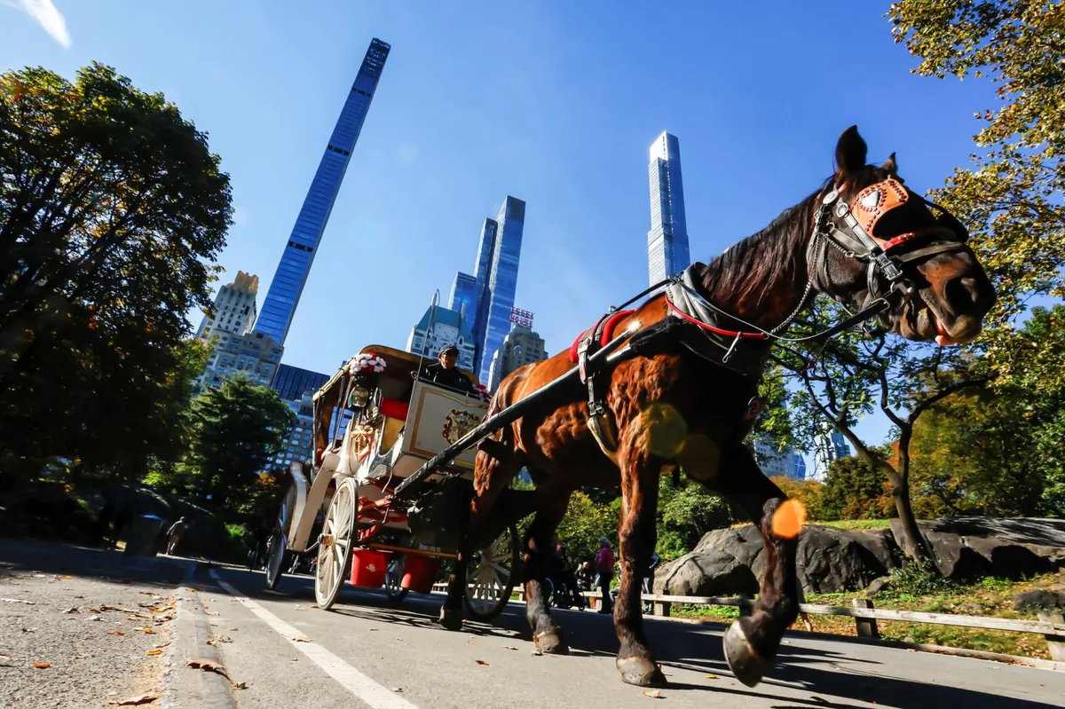 Illustration of a horse-drawn carriage beside a city park