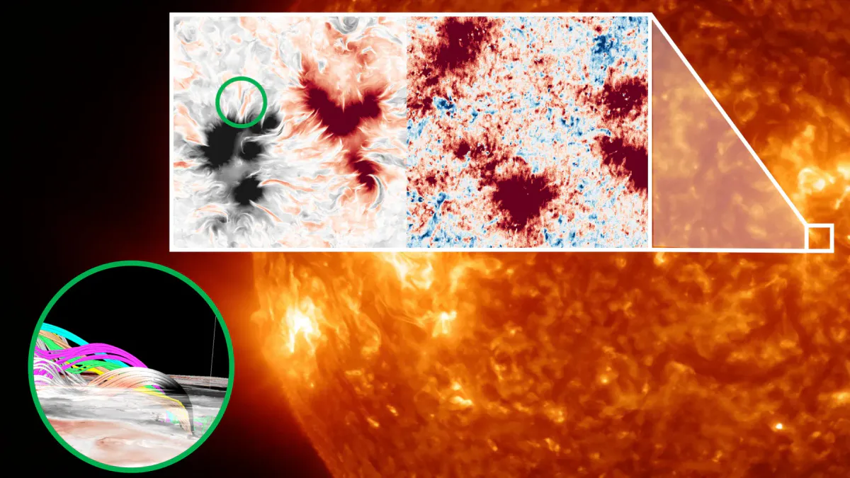 Illustration of magnetic field lines arching above the Sun's surface