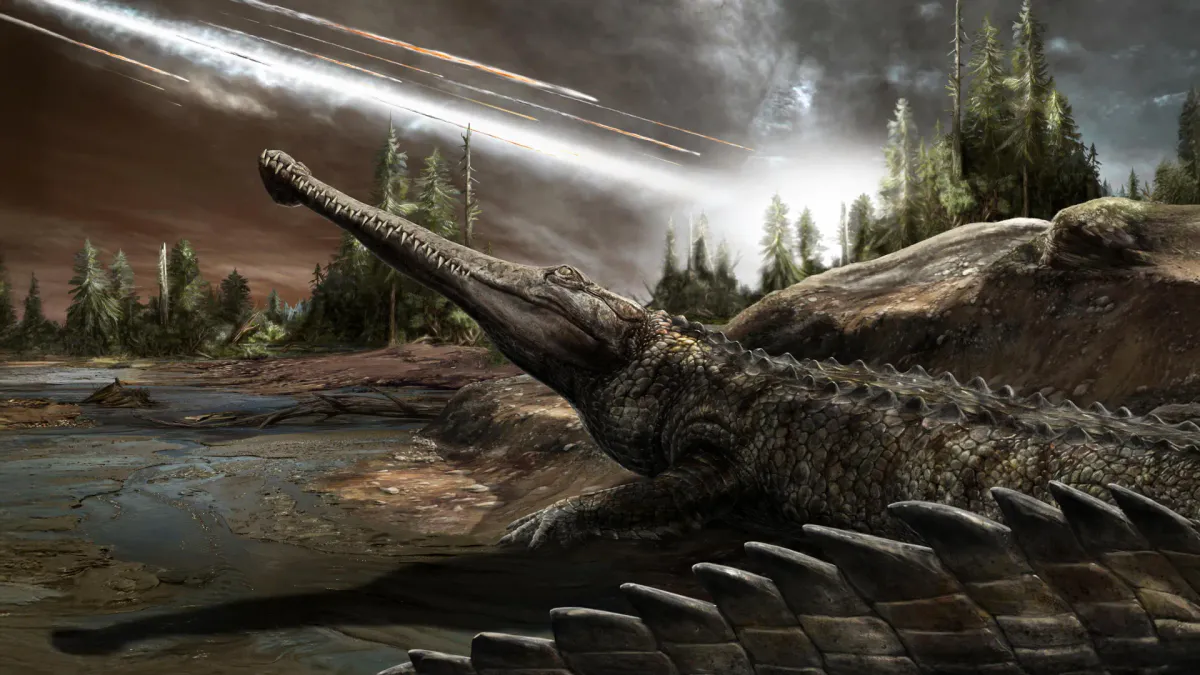 A crocodile resting beside the water in a tropical habitat
