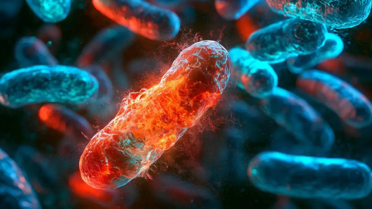 Illustration of a bacterial cell with DNA strands and surrounding viruses